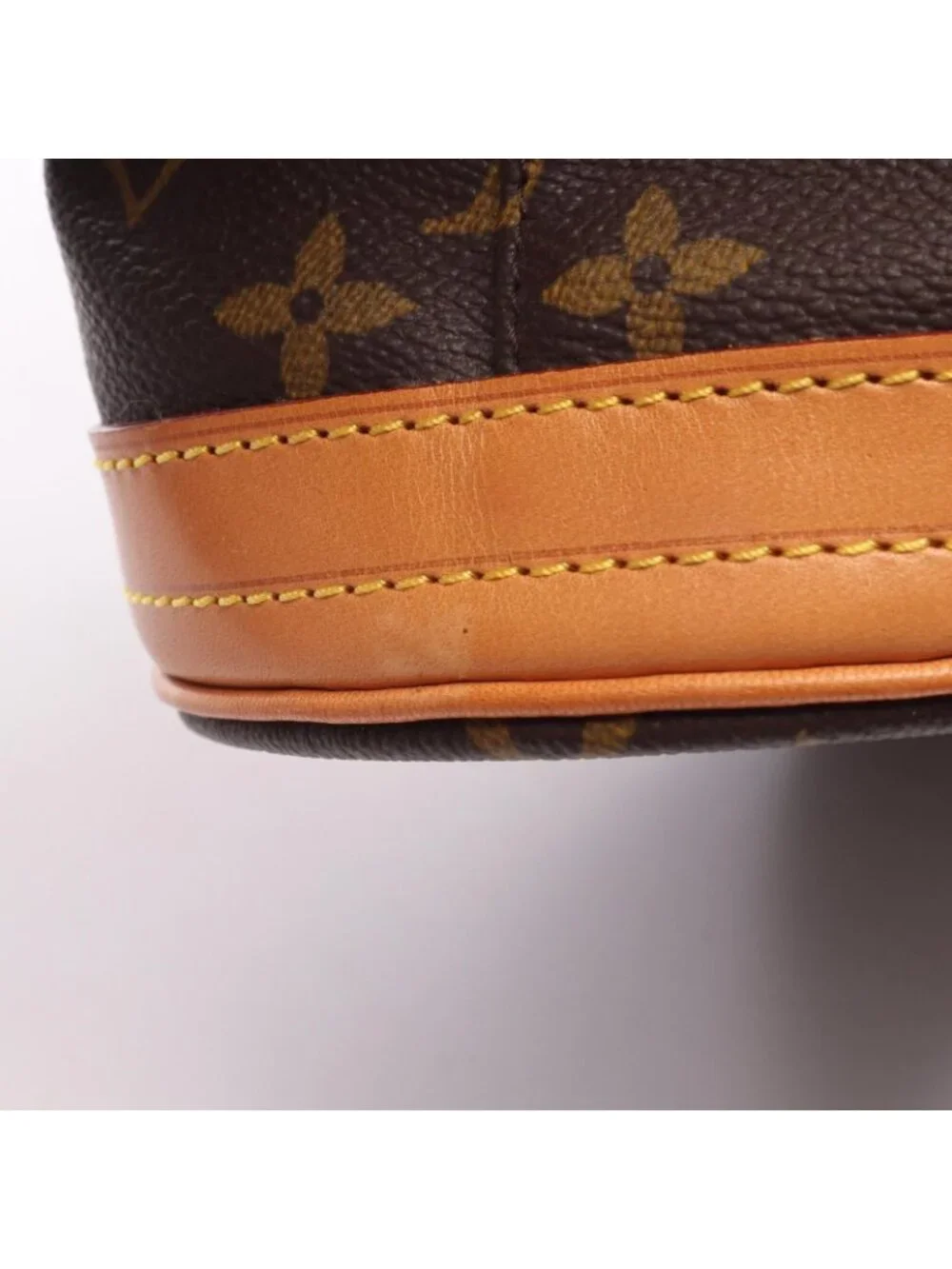 Louis Vuitton Handbag Bucket PM Monogram Canvas Leather
